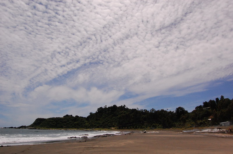 121608 Valdivia 8x6 026