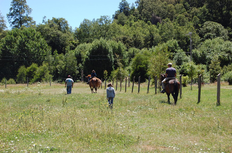 121708 Puerto Octay 8x6 023