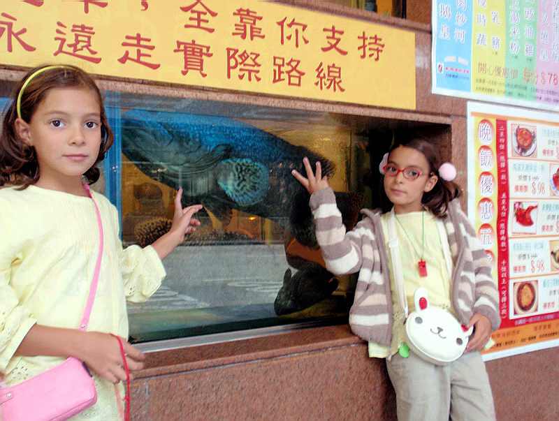 032709 Hong Kong Park 001