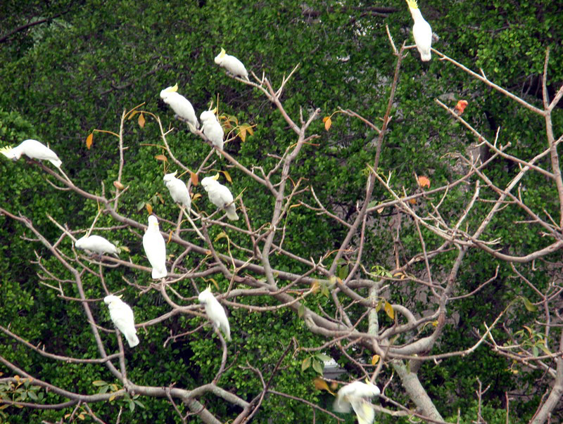 032709 Hong Kong Park 017