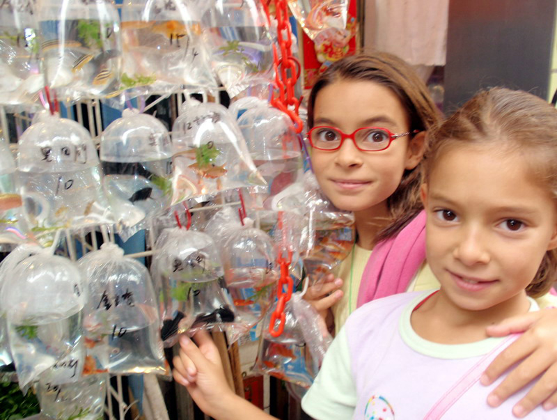 032909 HK calle peces 023