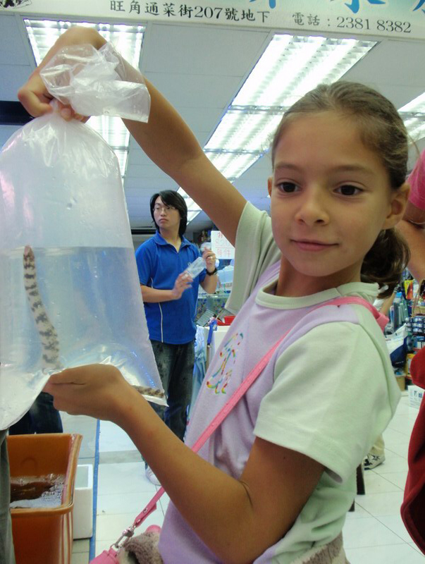 032909 HK calle peces 032