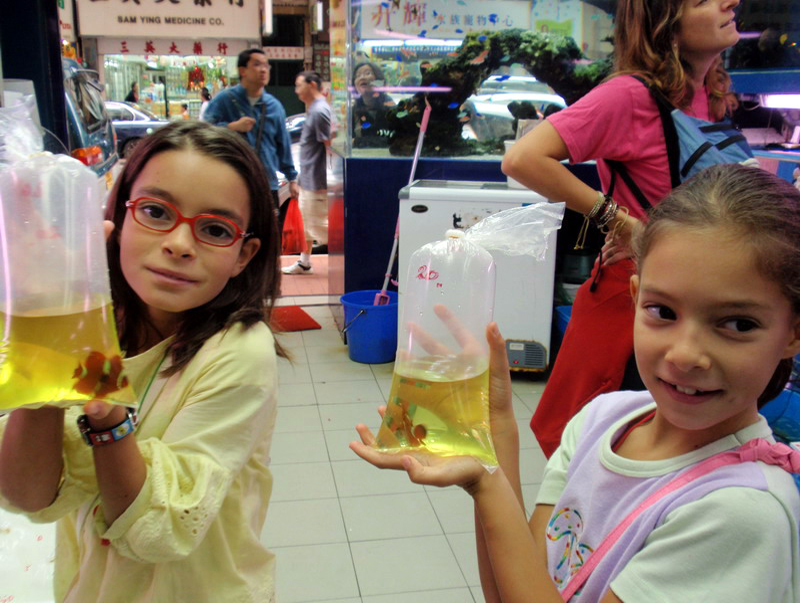 032909 HK calle peces 033