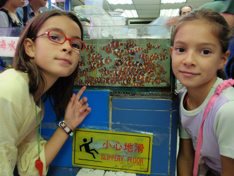 032909 HK calle peces 035