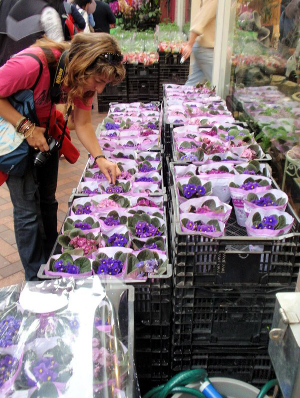 032909 HK calle peces 038