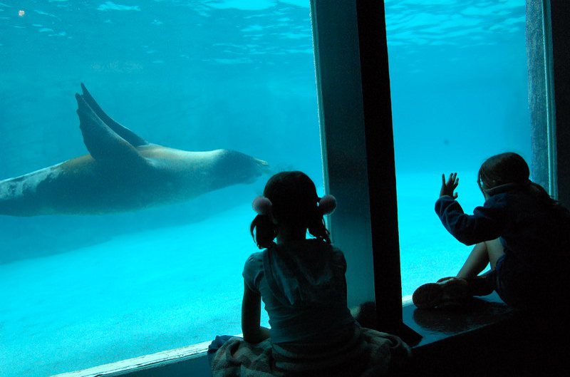 033009 HK Ocean Park 017