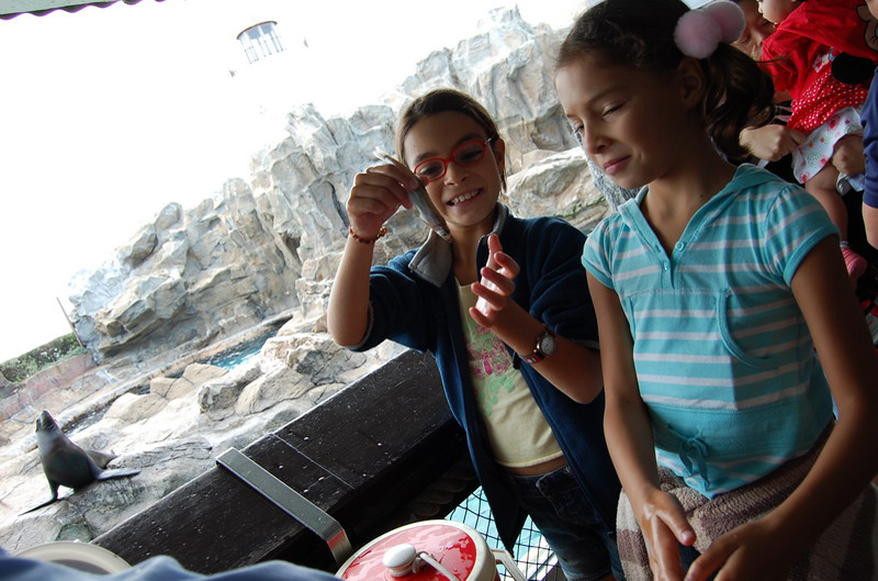 033009 HK Ocean Park 019