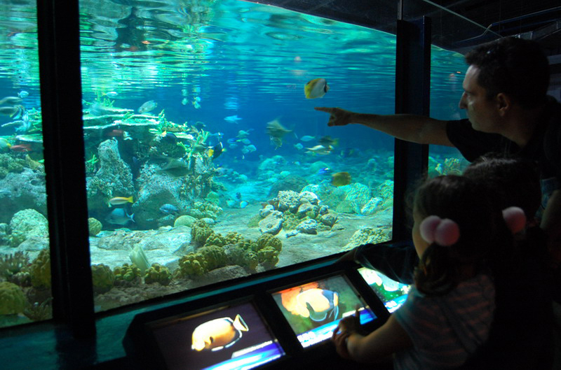 033009 HK Ocean Park 035