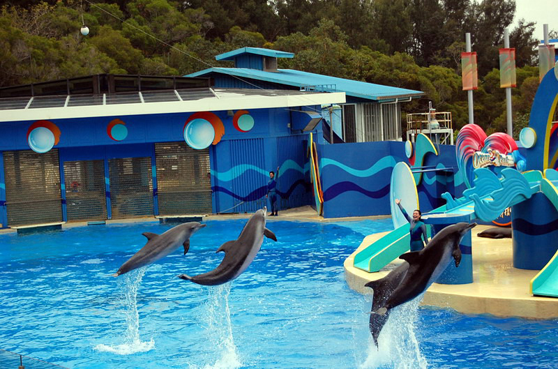 033009 HK Ocean Park 041