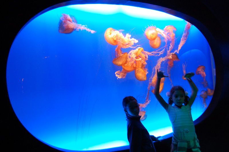 033009 HK Ocean Park 050