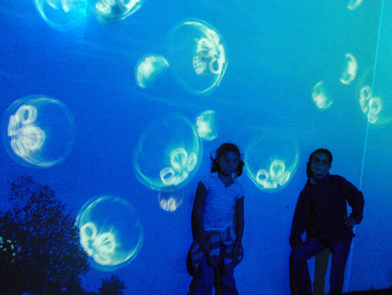 033009 HK Ocean Park 088
