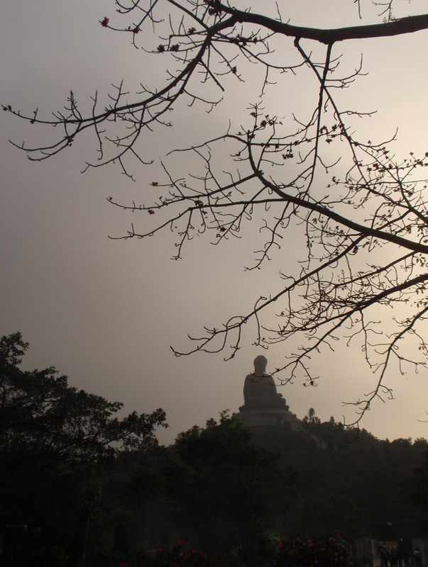 033109 HK Budda + Luces 061