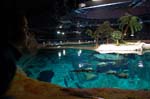033009 HK Ocean Park 031