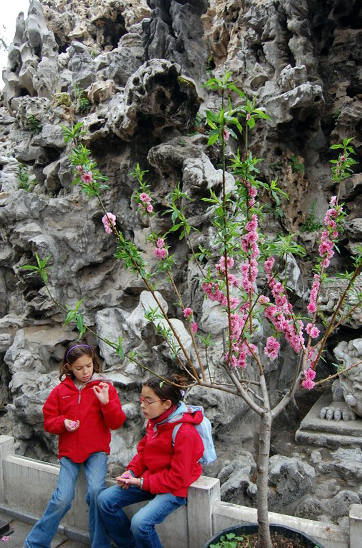041909 Pekín Ciudad Prohibida 011