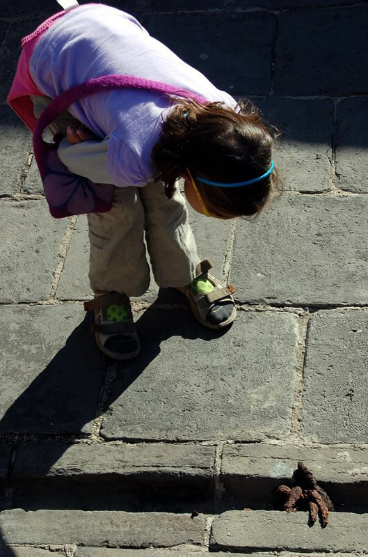 042109 Pekín Gran Muralla 080