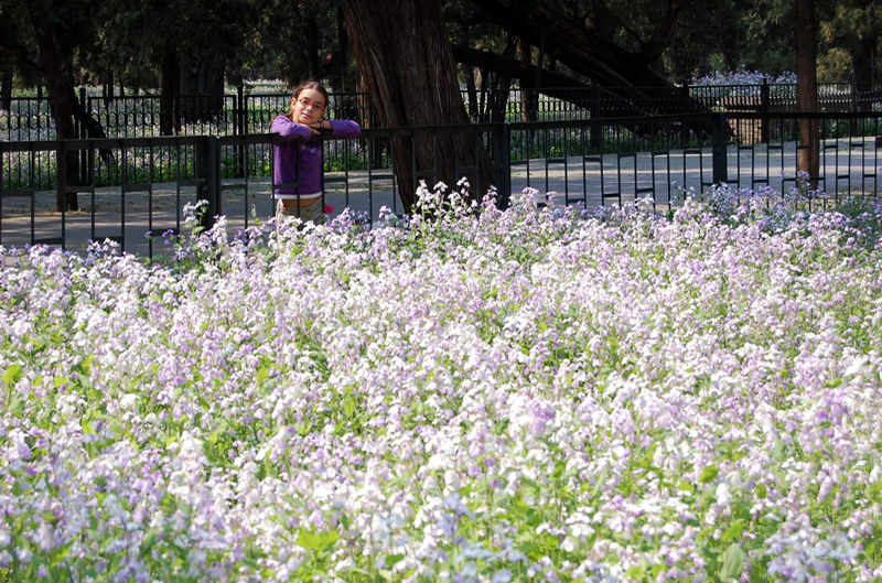 042209 Pekín Templo Cielo 031