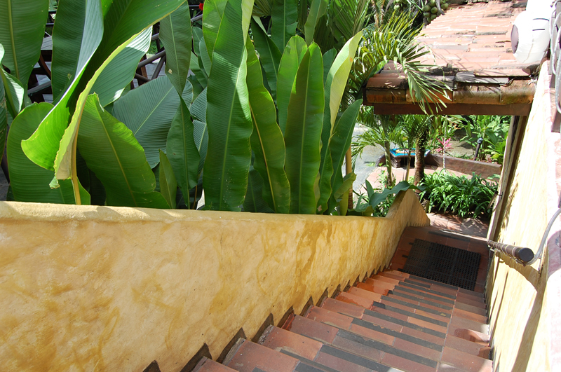 1 Manuel Antonio 015