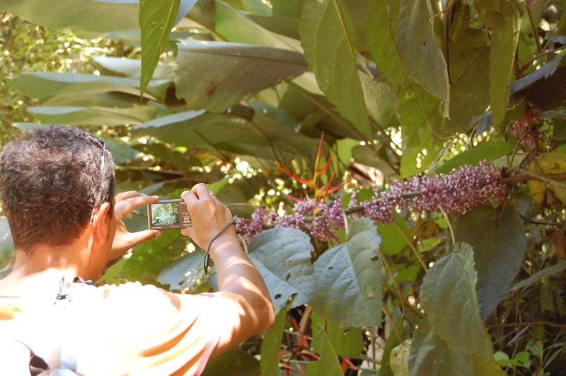 3 Manuel Antonio 00023
