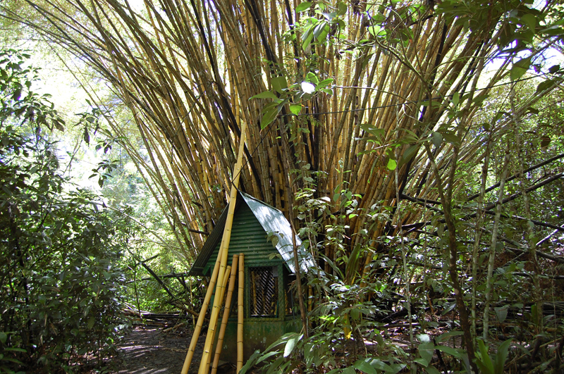 3 Manuel Antonio 00024