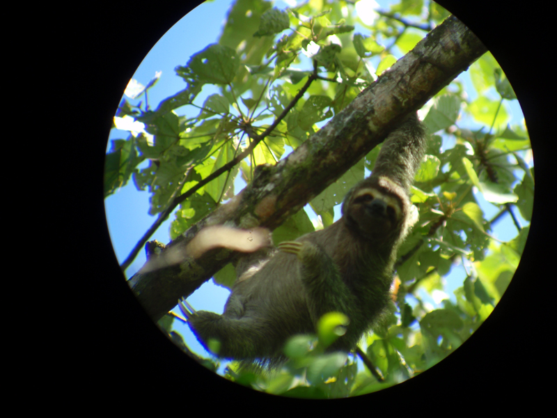 3 Manuel Antonio 00028