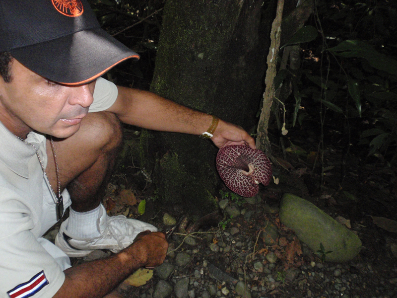 3 Manuel Antonio 00034