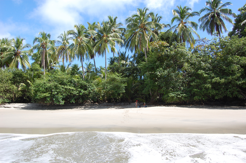 4 Manuel Antonio 060204