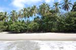 4 Manuel Antonio 060204
