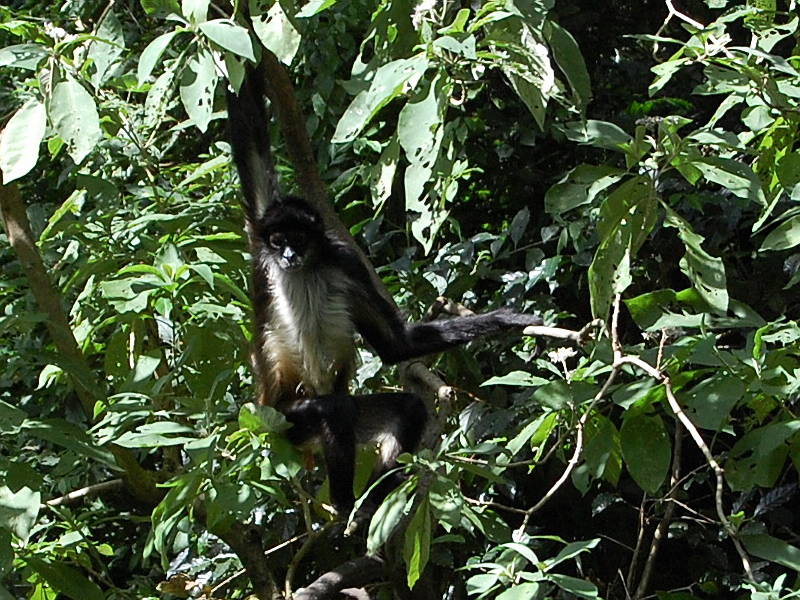 Lago Atitlán 0340