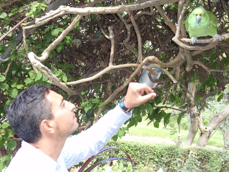 Lago Atitlán 270029
