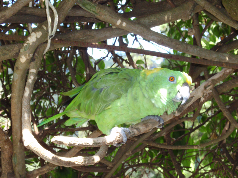 Lago Atitlán 270030