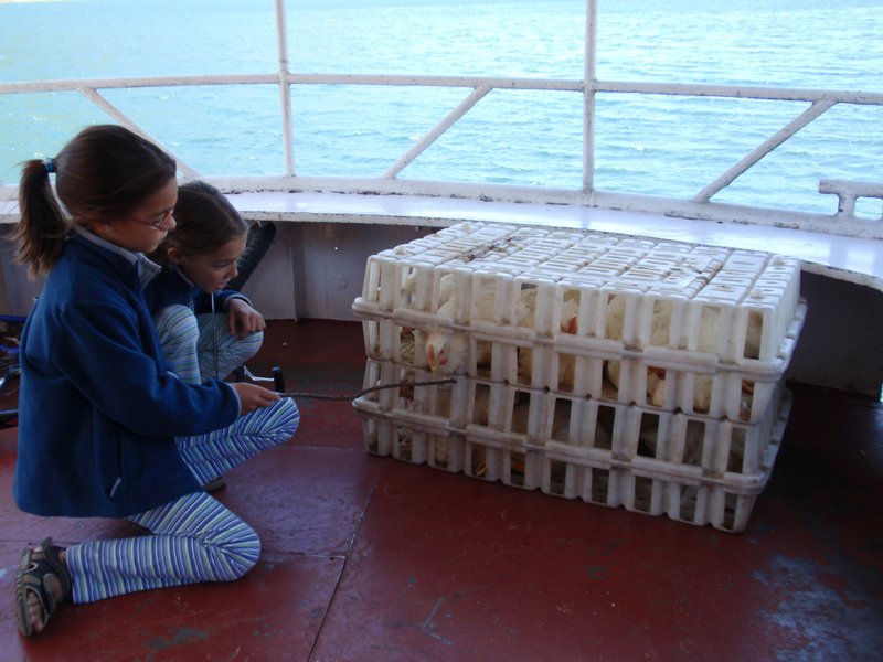 Lago Atitlán 270056
