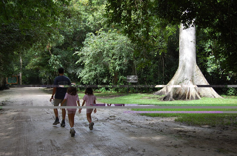 En Tikal y Flores 031