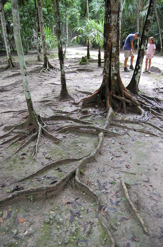 En Tikal y Flores 043