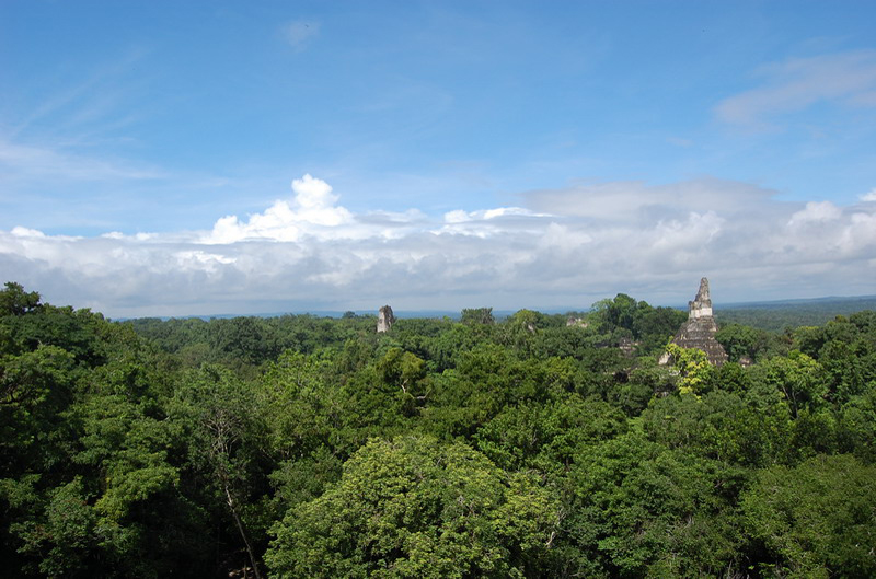 En Tikal y Flores 090