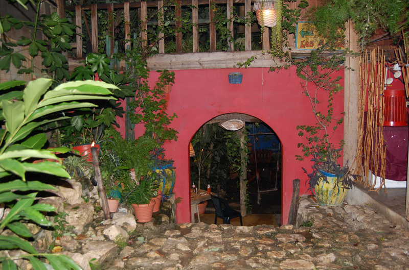 Flores 258