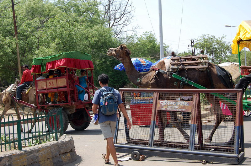 041409 Agra Taj Mahal 013
