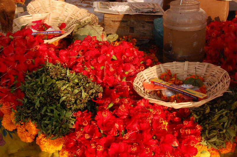 040909 Varanasi 3 8x6 018