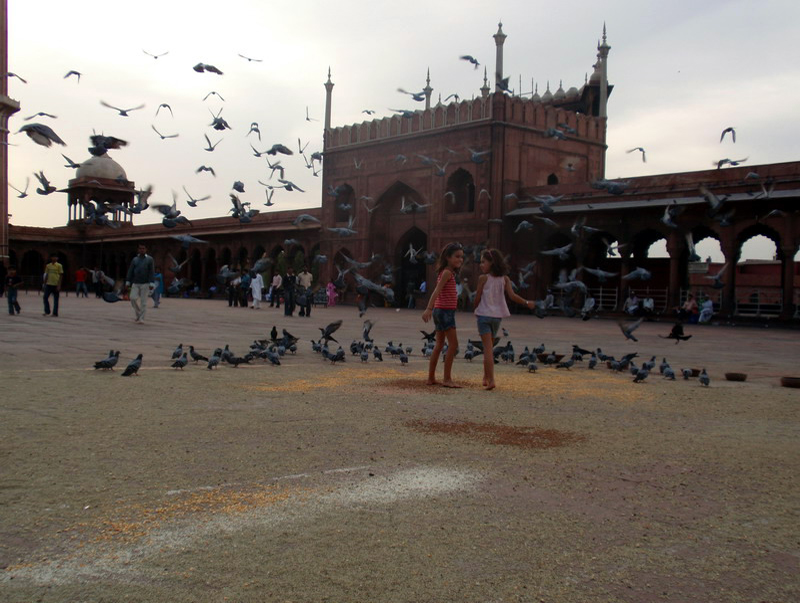 040409 Delhi Red Fort 084