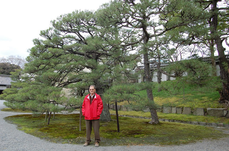 032009 Kyoto 8x6 013