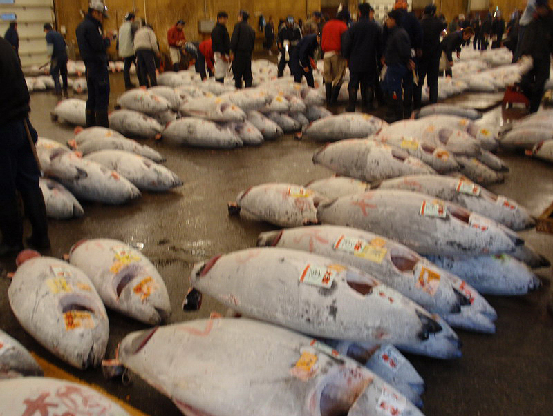 032309 Tokyo Asakusa Odaiba 021