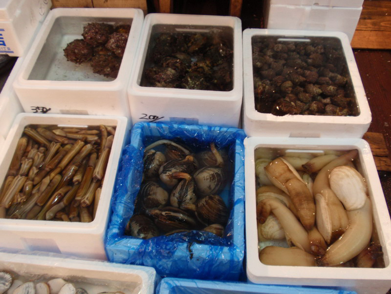 032309 Tokyo Asakusa Odaiba 024