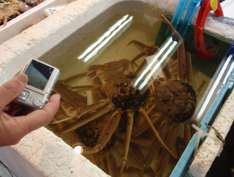 032309 Tokyo Asakusa Odaiba 026