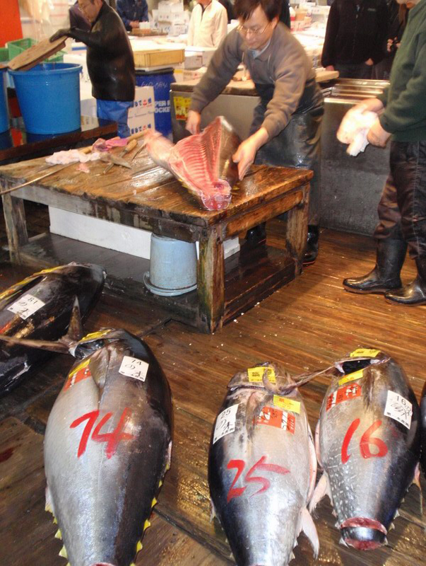 032309 Tokyo Asakusa Odaiba 028