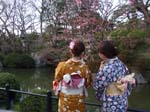 031809 Kyoto 135