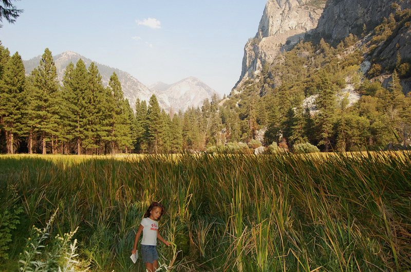 Kings Canyon 8x6_042