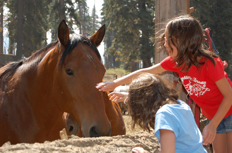 Mammoth Lakes_003