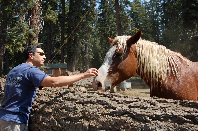 Mammoth Lakes_004