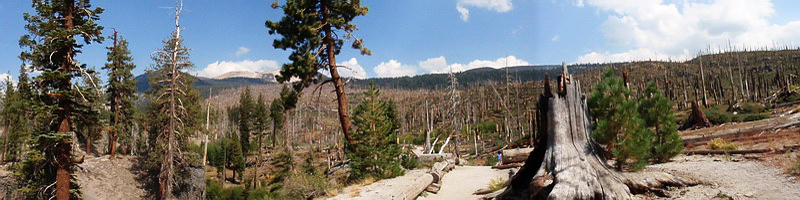 Mammoth Lakes_026