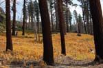 Mammoth Lakes_005