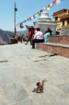 041009 Kathmandu 083